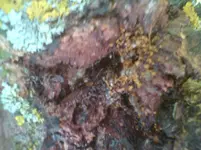 DSC01083.webp