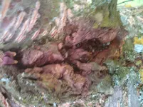 DSC01082.webp
