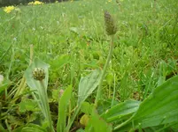 DSC01058.webp