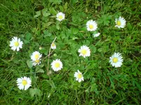 DSC01059.webp
