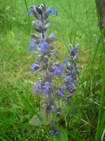 DSC01061.webp