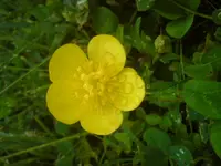DSC01065.webp