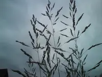 DSC01069.webp