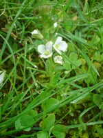 DSC01078.webp
