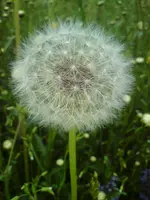 DSC01103.webp