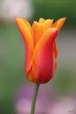 blog_6538.webp