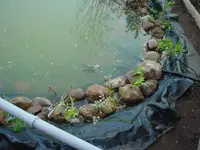 DSC04329.webp