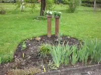 Garten Mai2 004.webp