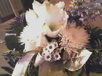 23-11-05_1515.webp
