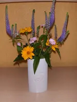 Scannerbilder 075.webp