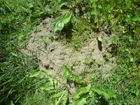 DSC01120.webp