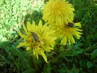DSC01121.webp