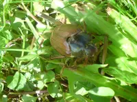 DSC01127.webp