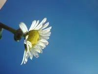 DSC01133.webp