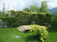 003.webp