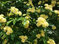 011.webp