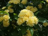 012.webp