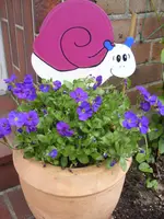 Fotos 006.webp