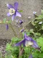 Fotos 011.webp