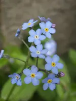 Fotos 012.webp