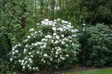 IMG_1880 - Kopie.webp