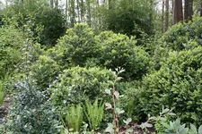 IMG_1884 - Kopie.webp