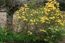 IMG_1885 - Kopie.webp