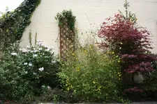 IMG_1887 - Kopie.webp