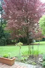 IMG_1897 - Kopie.webp