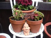 09.05.2010 005.webp