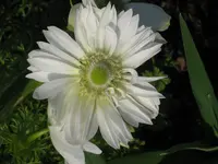 IMG_4682_1024x768.webp