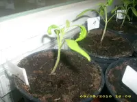 JD800003.webp