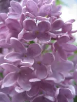 IMG_1227.webp