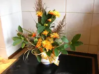 DSCN0502.webp