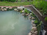 DSC04333.webp