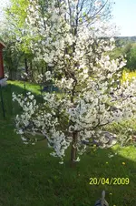 100_1440.webp