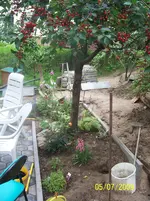 100_1927.webp