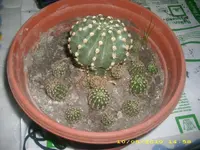 JD800002.webp