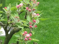 041.webp