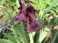 IMG_kirschgarten2_1024x768.webp