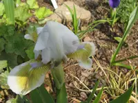 IMG_alsterquelle1_1024x768.webp