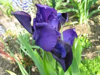 IMG_remontierend_1024x768.webp