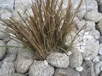 053.webp
