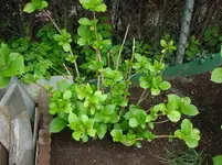 DSC04339.webp