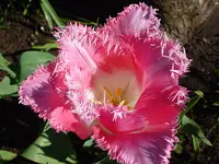 DSC04319.webp