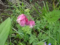 DSC04336.webp