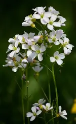 comp_IMG_8723.webp