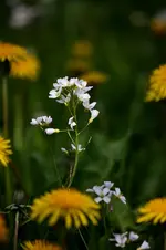 comp_IMG_8724.webp