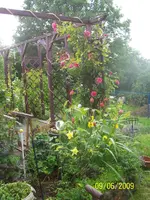 100_1807.webp