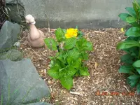 11.05.2010 003.webp